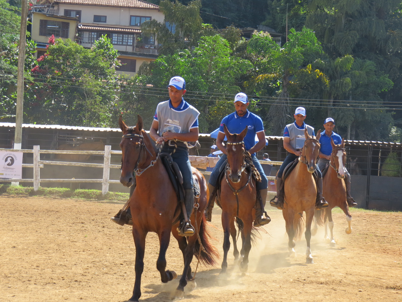 Expo Petrópolis recebe 7ª Exposição Brasileira de Cavalos Campolina