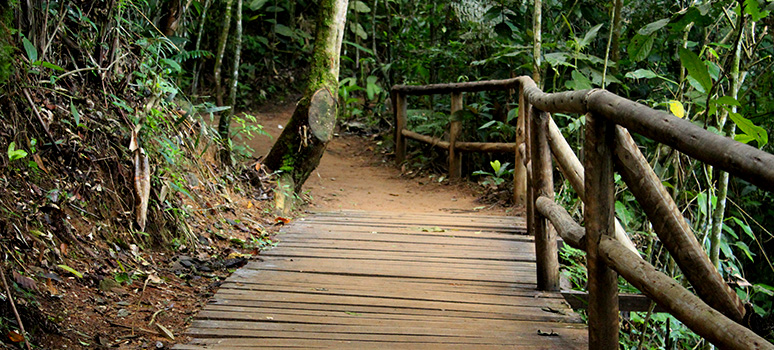Caminhada e meditação gratuitos no Parque Natural de Petrópolis