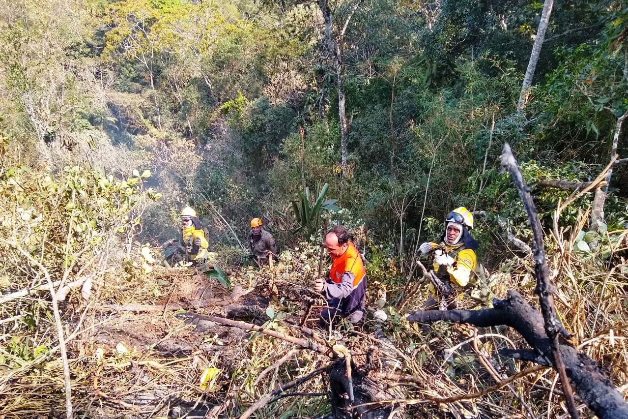 Defesa Civil e brigadistas do Parque Municipal ajudam a combater incêndio florestal em Teresópolis