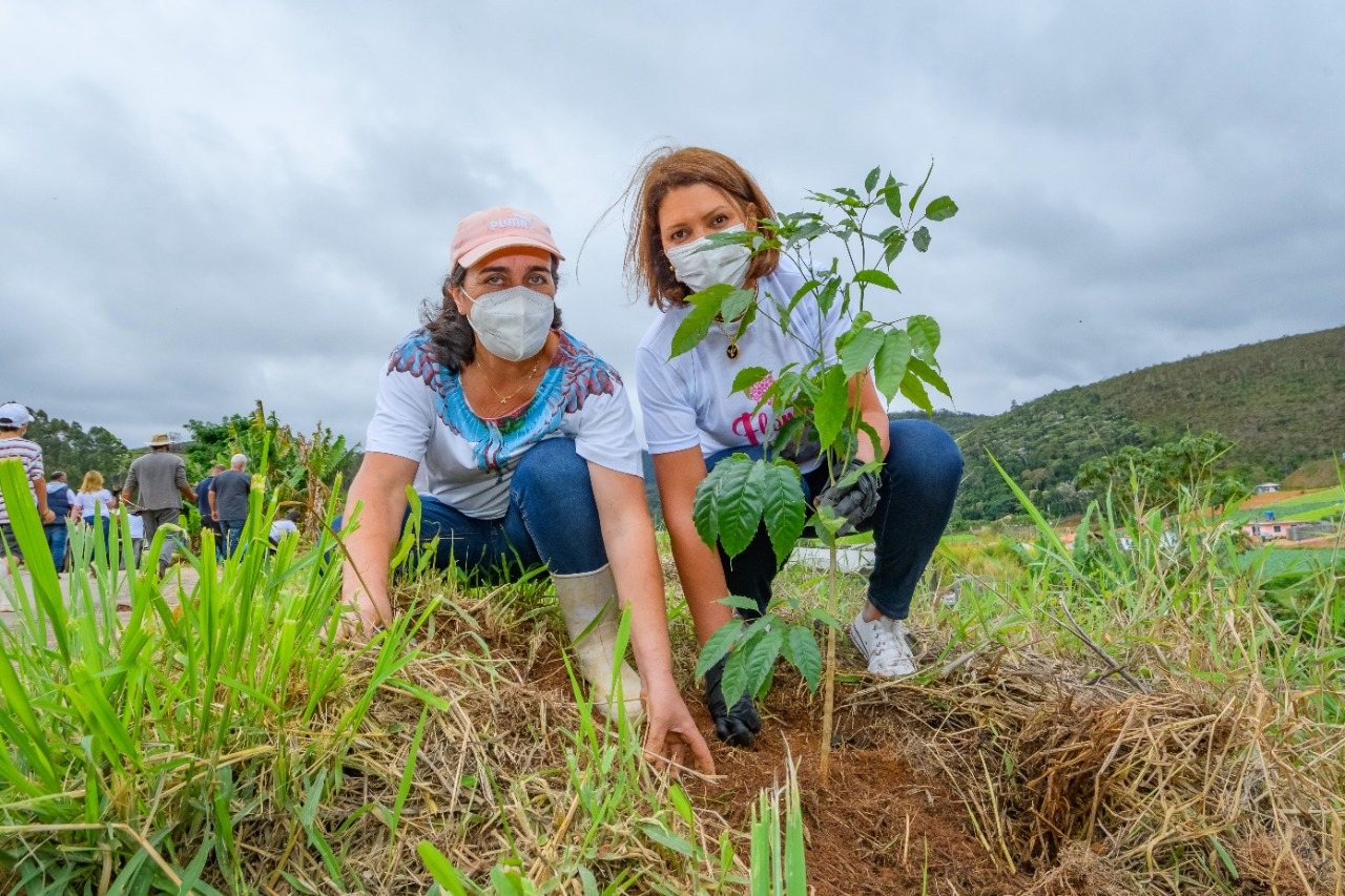 Projeto ‘Florir Teresópolis’ faz plantio de mais 70 mudas de árvores nativas