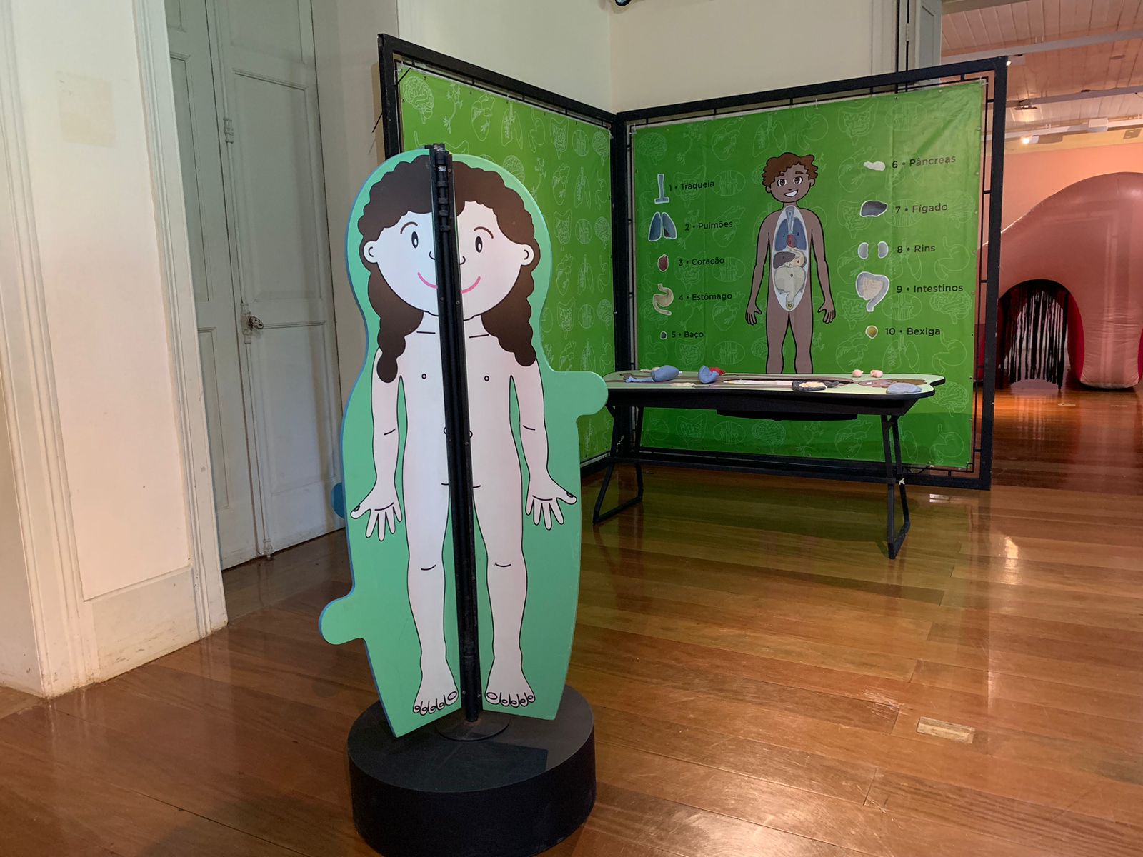 Palácio Itaboraí, em Petrópolis, recebe exposição sobre o Corpo Humano do Museu da Vida Fiocruz até junho